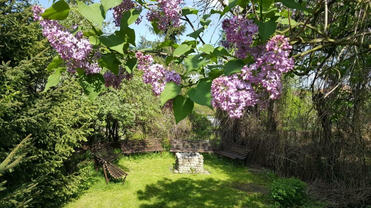 Willa Granit Krościenko Exterior foto